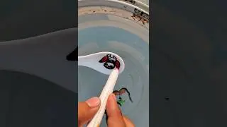 Amazing 🤩 cow drawing on the spoon and float into water 💦 #shorts #viral #art