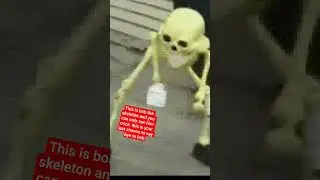 this is bob the skeleton