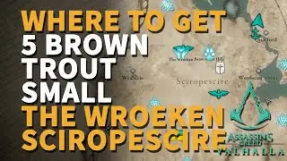 5 Brown Trout small Offering Altar The Wroeken Sciropescire Assassin's Creed Valhalla