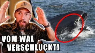 Vom WAL VERSCHLUCKT! - Wie überlebt man das? | Robert Marc Lehmann