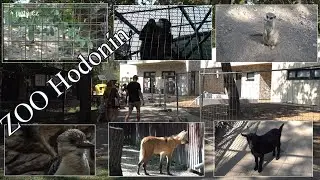 ZOO Hodonín