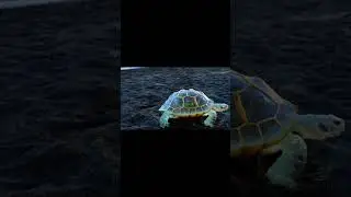 OpenAI Sora Video with Sound Effects - a tortoise whose body is made of glass