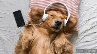 Sleep time beautiful relaxing music | relax your mind
