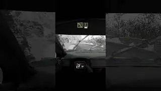 WRC 8 #8 part5