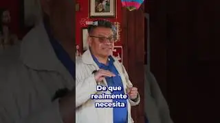 Alimentaci&oacute;n de cerdos de acuerdo a sus etapas de crecimiento