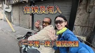 女生在埃及闯入《一千零一夜》的骆驼交易市场