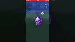 WHERE IS MY SHINY SHADOW BAGON?