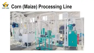 Corn Grits Processing Line #corngrits #maizegrits #corngritsproduction #corngritsprocessinglin