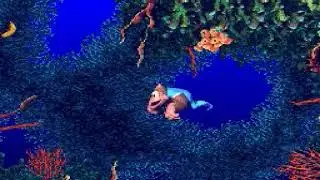 Donkey Kong Country 3 (SNES) (World 3-1)(Cotton-Top Cove)(Bazza's Blockade)