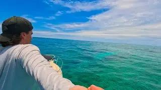 WHEN SPEARFISHING AT THE REEF GOES WRONG