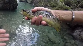 PESCA : 