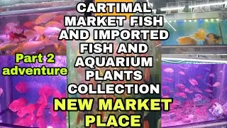 Cartimar pets market Fish aquarium imported dog cats latest update 2022 pasay city phillippines