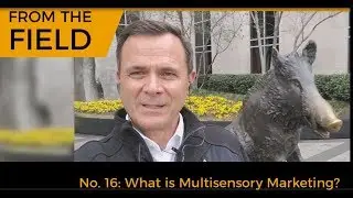 Multi-sensory Marketing - From the Field #16