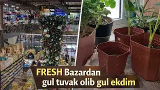   25.12.2025 йил 🌺😊❄️🇸🇱🫣