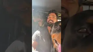 Jeep Ride ❤️#youtubeshorts #shorts #ytshorts #trending #viral #rottweiler #jeepride