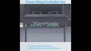IQF Quick Freezing Shrimp Processing Line