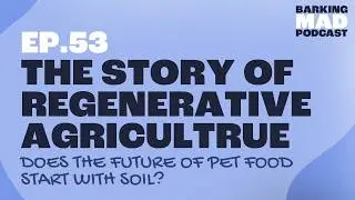 The Beautiful Story of Regenerative Agriculture: Does the Future of Pet Food Start with Soil?