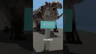 Hippo vs Alligator Who to Win 🤔
