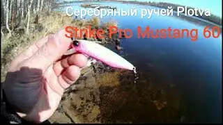 Серебряный ручей Plotva 71SP и Strike Pro Mustang Minnow 60 отзыв и игра на водоеме!