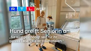 Polizeihund attackiert Seniorin: 