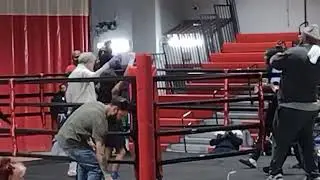 Next Level Boxing 