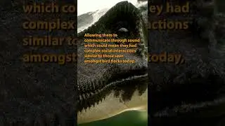 Some interesting info about dinosaur communication.