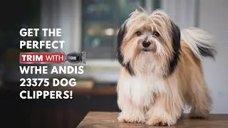 Andis Dog Clippers Review