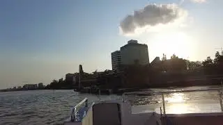 【4K】 Riding the CityCat Ferry and Exploring the Brisbane River