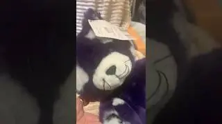 Build-A-Bear Spooky Kitty Unboxing 🎃🐱 | Halloween Plush (April 2025)