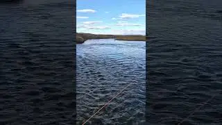 Dream Stream Conditions Fall Fishing Just About Here #dreamstream #flyfishingreport #flyfishing