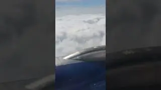 fly like a Bird 🕊️