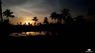 Magical Sunset