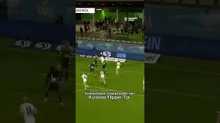 Flipper-Tor! ⚽️