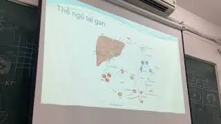 B&agrave;i 5: H&igrave;nh thể k&yacute; sinh tr&ugrave;ng sốt r&eacute;t ở người phần 3 (NTTU)