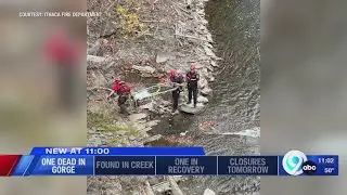 Body found under bridge in Ithaca