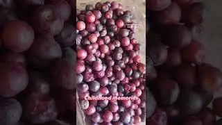 Falsa: Berry of the season. Share the fruit of the season that takes u down the memory lane.