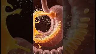 Eat One Orange juice & Watch Your Body Change #Science #Health #facts #3danimation #Shorts