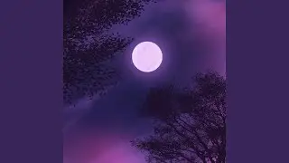 Moon's Shining Brighter