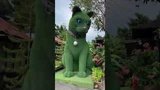 This cat is really alive! 🥰 #funny #cats #catvideos #tiktok  #social #usafunny #catlovers #funpage