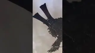 Epic Boss Battle: Aerial Combat and Tactical Pursuit!