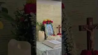 Jepamala samarppanam @mothermarymissionkreupasanam @mk07127 @KreupasanamMaryMotherChannel 