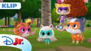 ⛈️ Szalona pogoda | SuperKoty | Disney Junior Polska