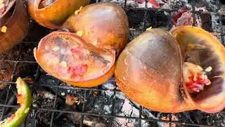 Spicy Chili Salt Grilled Snails &ndash; Absolutely Delicious