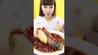 Giant Geoduck | ALMEJA GIGANTE 🏝 ASMR
