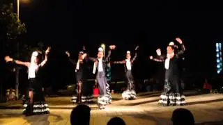 Cuadro Flamenco La Plana - Zorongos