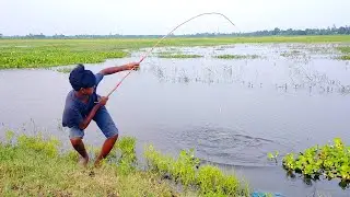 Hook Fishing - Traditional Hook Fishing - MR Fishing Life (Part-208)