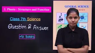 Plant structure and function question answer | chapter 2 science class 7 exercise maharashtra board