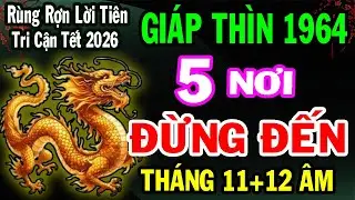 Giáp Thìn 1964 – 2 Tháng Cuối Năm 2025: 5 Nơi Tuyệt Đối Không Nên Đặt Chân Đến Để Tránh Phiền Phức!