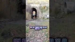 The Screaming Tunnel #HauntedPlaces #ScreamingTunnel #CanadaHorror #UrbanLegend #HorrorShorts #viral