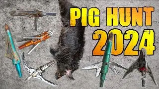 Texas Pig Hunt (Tested almost 20 Broadheads)